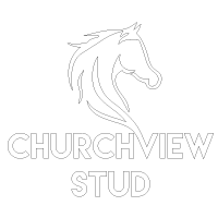 Churchview Stud Logo